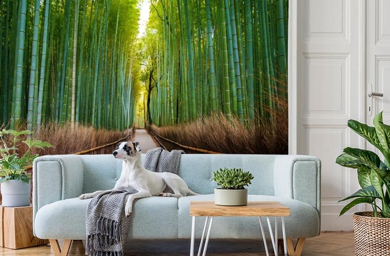 картинка 3D Фотообои «Бамбуковый лес» | интернет-магазин фотообоев ARTDECO