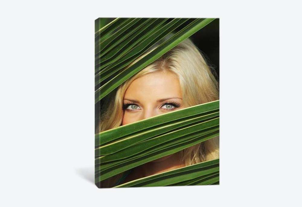картинка 5D картина «Девушки в листьях. Арт 3» | интернет-магазин фотообоев ARTDECO
