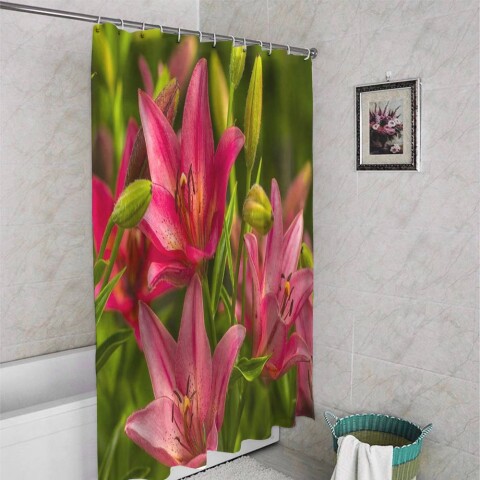 картинка 3D штора для ванной «Клумба розовых лилий» | интернет-магазин фотообоев ARTDECO