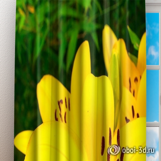 картинка Фотошторы «Яркие желтые лилии » | интернет-магазин фотообоев ARTDECO