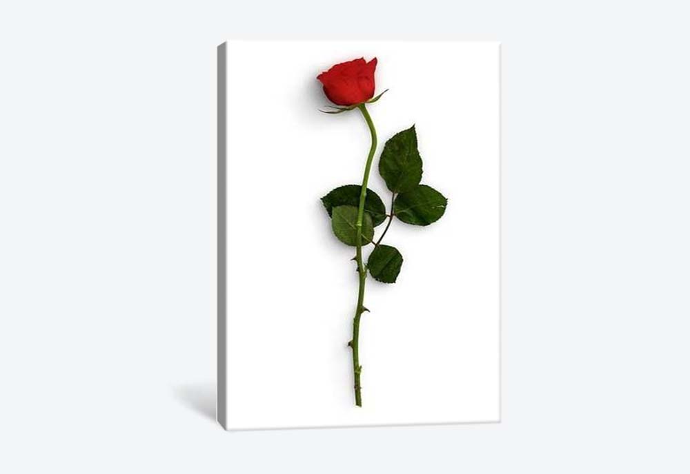 картинка 5D картина «Красные розы. Арт 2» | интернет-магазин фотообоев ARTDECO