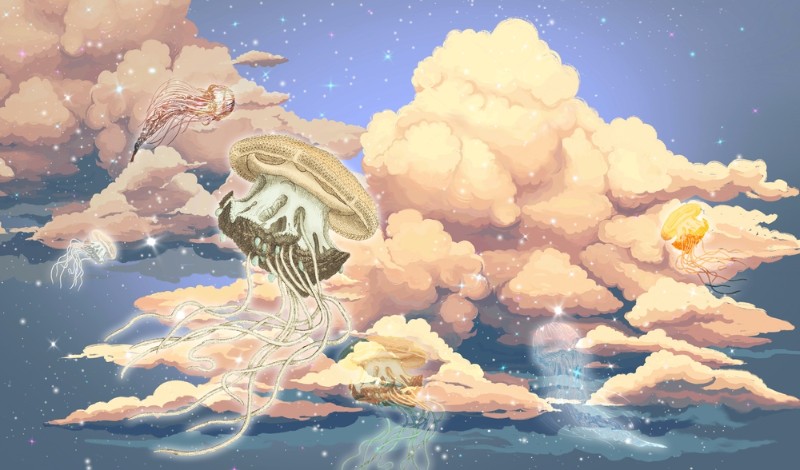 картинка Фотообои «Фантастические медузы» | интернет-магазин фотообоев ARTDECO
