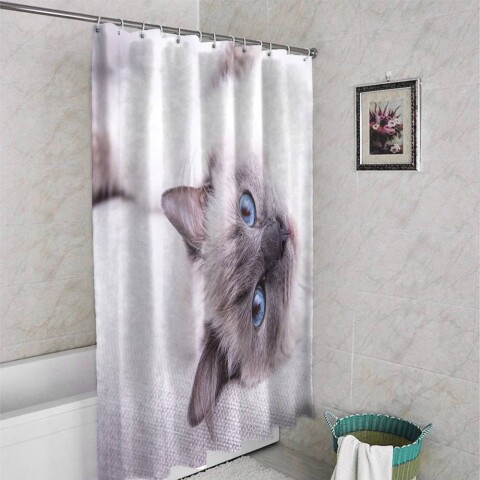 картинка Штора для ванной «Голубоглазая кошка» | интернет-магазин фотообоев ARTDECO