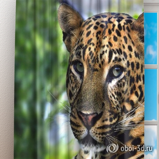 картинка Фотошторы «Отдыхающий леопард» | интернет-магазин фотообоев ARTDECO