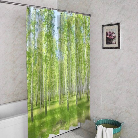 картинка Штора для ванной «Березовый лес» | интернет-магазин фотообоев ARTDECO