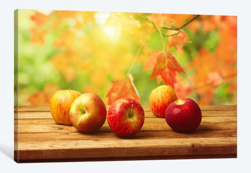 картинка 5D картина  «Яблочная осень» | интернет-магазин фотообоев ARTDECO