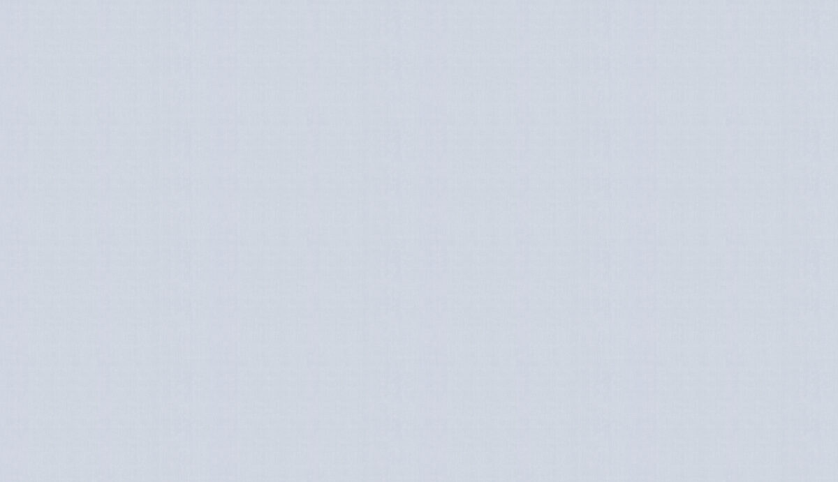 картинка 60290-11 Обои Erismann (Callisto) (1*6) 10,05x1,06 винил на флизелине | интернет-магазин фотообоев ARTDECO