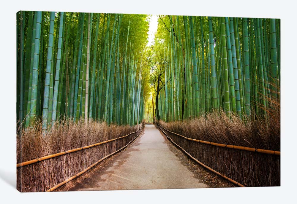 картинка 5D картина «Бамбуковый лес» | интернет-магазин фотообоев ARTDECO