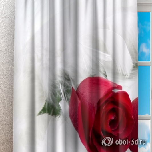 картинка Фотошторы "Красные розы в перьях" | интернет-магазин фотообоев ARTDECO