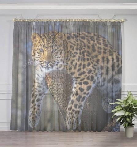 картинка Тюль для штор "Амурский леопард" | интернет-магазин фотообоев ARTDECO
