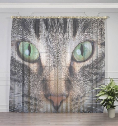 картинка 3D Тюль на окна "Кошачий взгляд" | интернет-магазин фотообоев ARTDECO