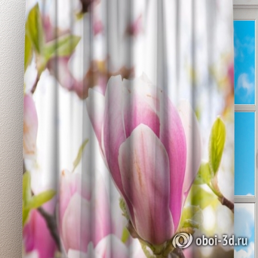 картинка Фотошторы «Бутоны цветущей магнолии» | интернет-магазин фотообоев ARTDECO