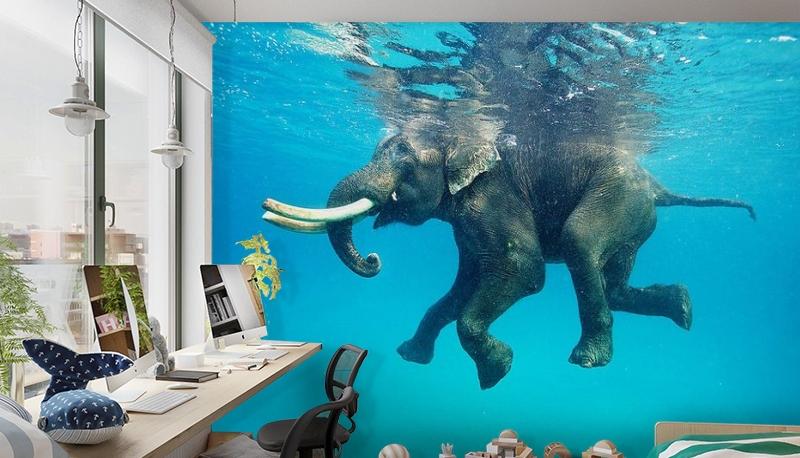картинка 3D Фотообои «Купающийся слон» | интернет-магазин фотообоев ARTDECO