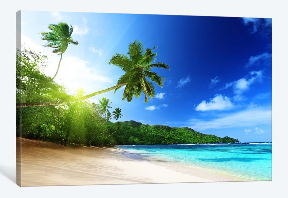 картинка 5D картина «Пальма на пляже» | интернет-магазин фотообоев ARTDECO