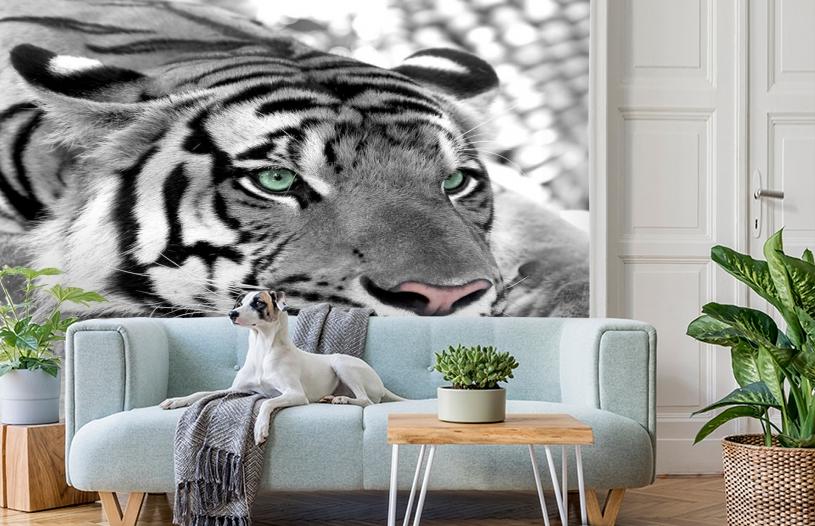 картинка 3D Фотообои «Тигр черно-белые» | интернет-магазин фотообоев ARTDECO