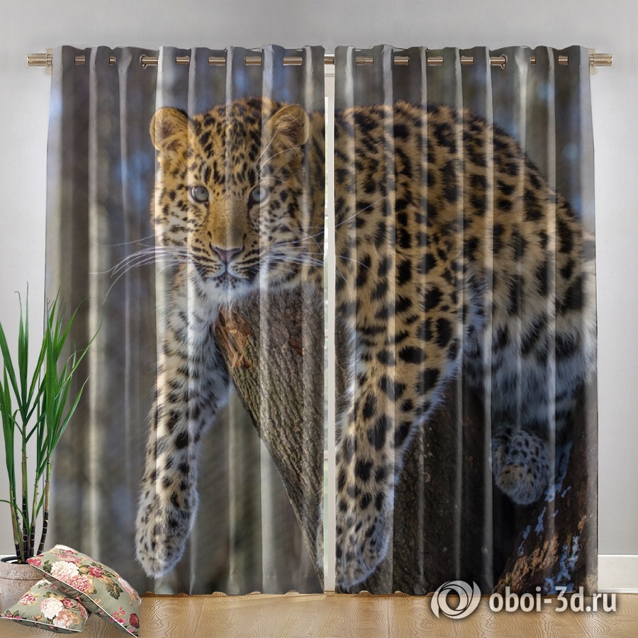 картинка Фотошторы «Амурский леопард» | интернет-магазин фотообоев ARTDECO