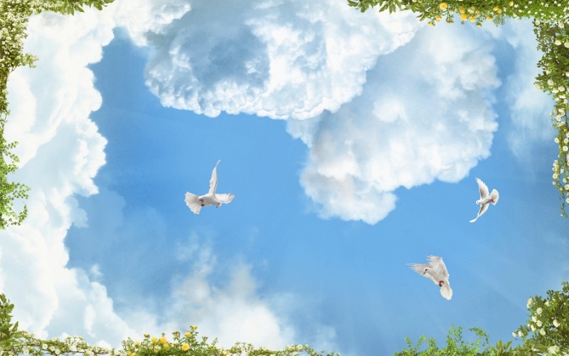 картинка 3D Фотообои «Голуби в облаках» | интернет-магазин фотообоев ARTDECO