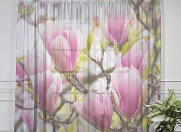 3D фототюль "Бутоны цветущей магнолии"