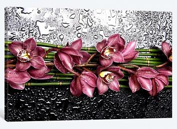 5D картина  «Орхидеи с каплями»