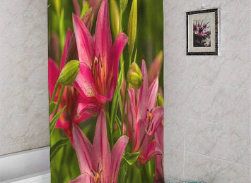 3D штора для ванной «Клумба розовых лилий»