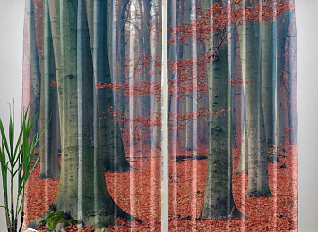 Фотошторы «Деревья в осеннем лесу»