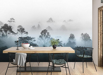 3D Фотообои «Вершины деревьев сквозь туман»