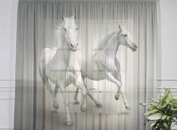 3D фототюль "Белые лошади на сером фоне"