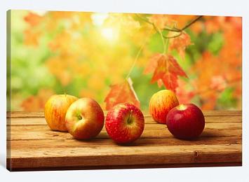 5D картина  «Яблочная осень»