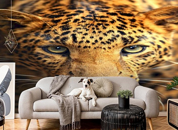 3D Фотообои «Леопард портрет»