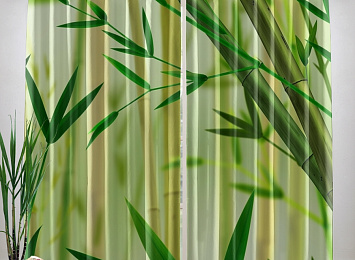 Фотошторы «Светлый бамбук»