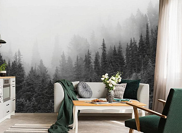 3D Фотообои «Черно-белый лес в тумане»