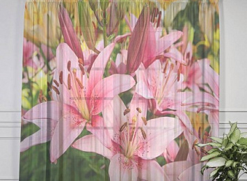 Фототюль "Нежно-розовые лилии"