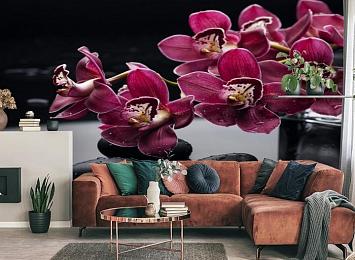 3D Фотообои «Бордовые орхидеи»
