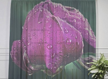 3D фототюль "Пион после дождя"
