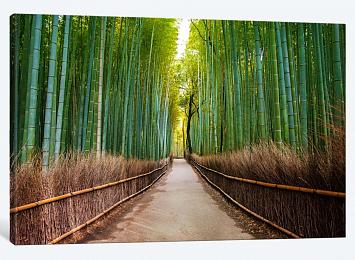 5D картина «Бамбуковый лес»