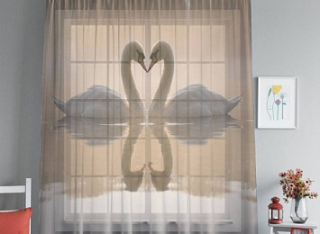 3D Тюль на окна "Влюбленные лебеди"