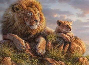 Уютный плед «Величественные львы»