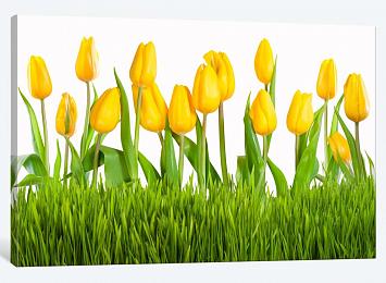 5D картина «Желтые тюльпаны»