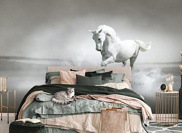 3D Фотообои «Белый конь бегущий по воде»