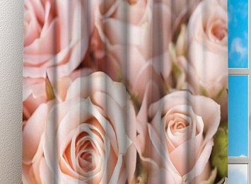 Фотошторы «Кремовые розы»