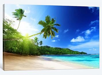5D картина «Пальма на пляже»