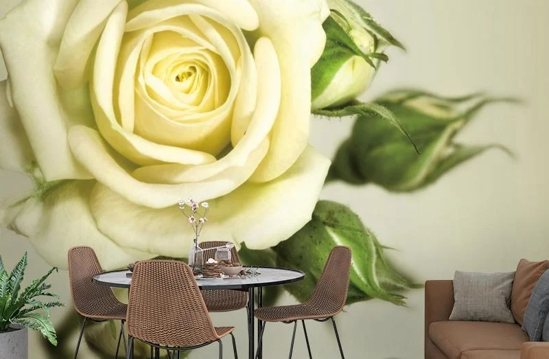 Картинка 3D Фотообои «Бежевая роза» | интернет-магазин ELEGANT HOME DECOR