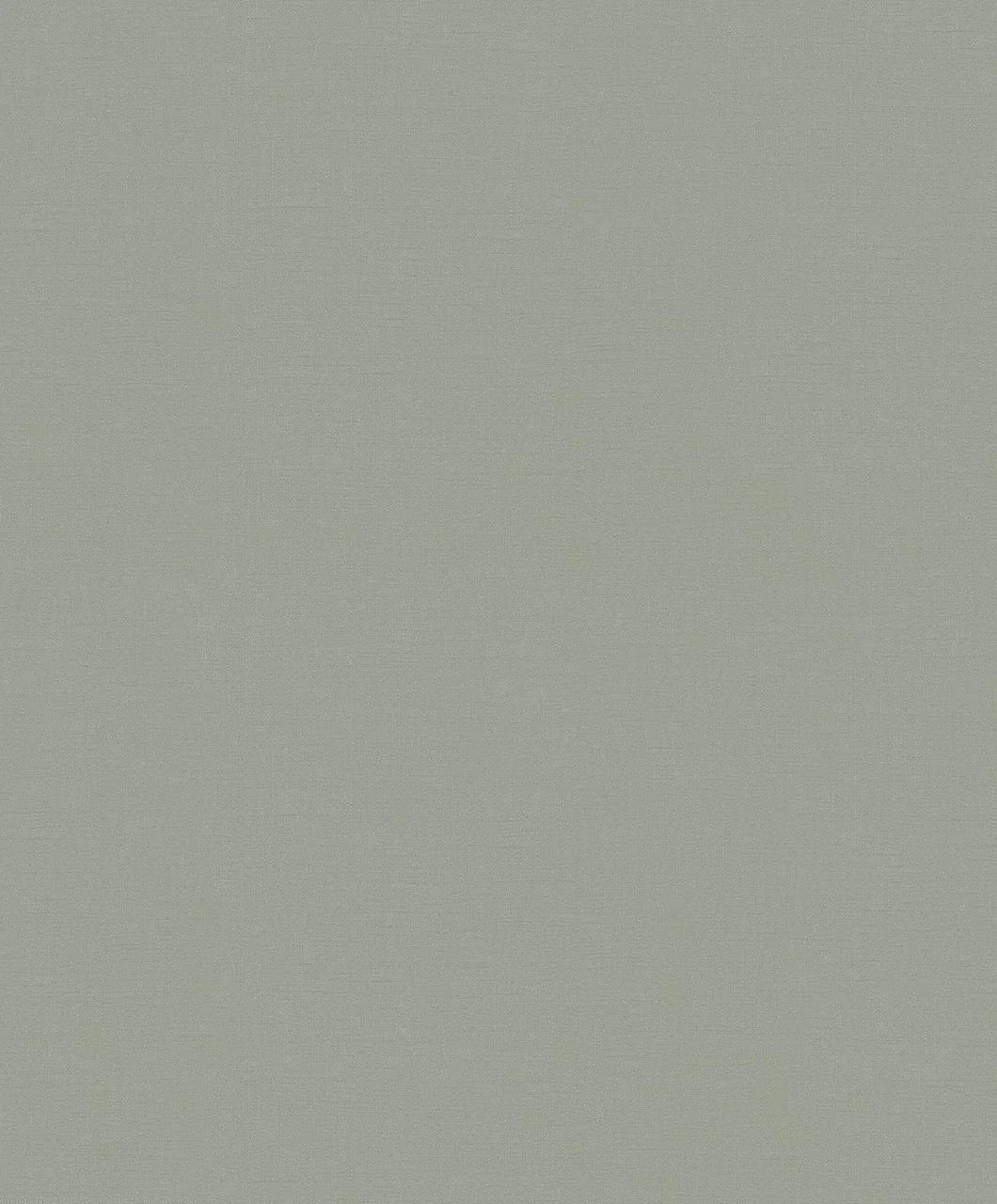 Картинка 31839 Обои Marburg (New Spirit/Project) (1*12) 10,05x0,53 винил на флизелине | интернет-магазин обоев ELEGANT HOME DECOR
