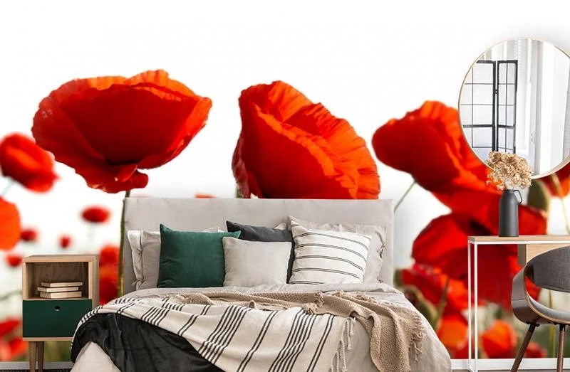 Картинка 3D Фотообои «Красные маки» | интернет-магазин ELEGANT HOME DECOR