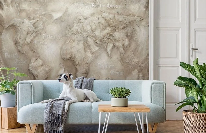 Картинка 3D Фотообои «Барельеф карта мира» | интернет-магазин ELEGANT HOME DECOR