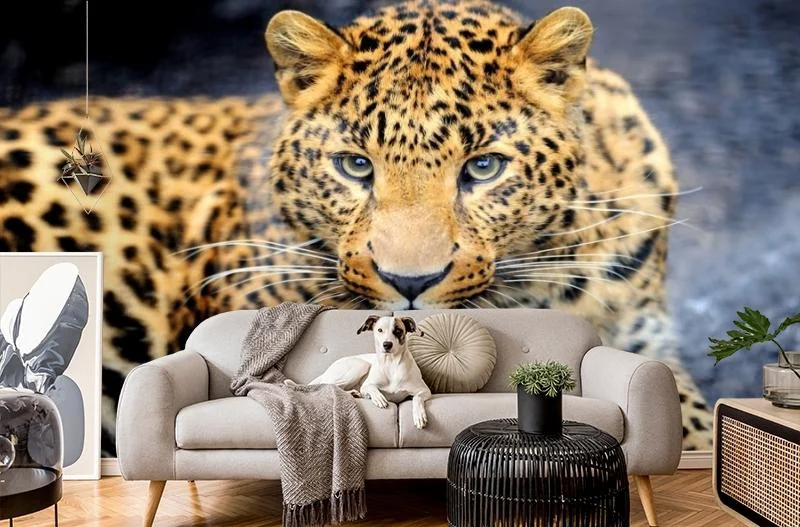 Картинка 3D Фотообои «Красивый леопард» | интернет-магазин ELEGANT HOME DECOR