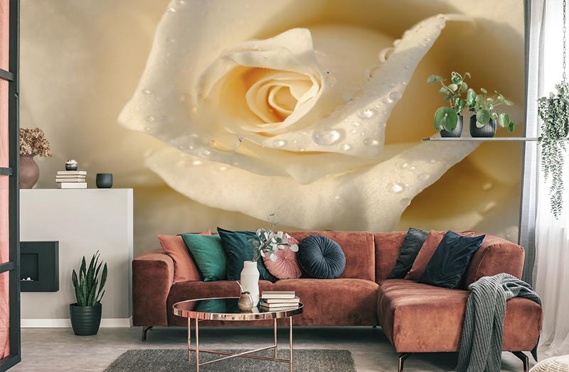 картинка 3D Фотообои «Утренняя роза» | интернет-магазин фотообоев ARTDECO