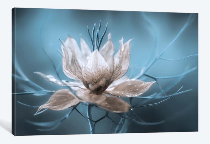 картинка 5D картина  «Мистический цветок» | интернет-магазин фотообоев ARTDECO
