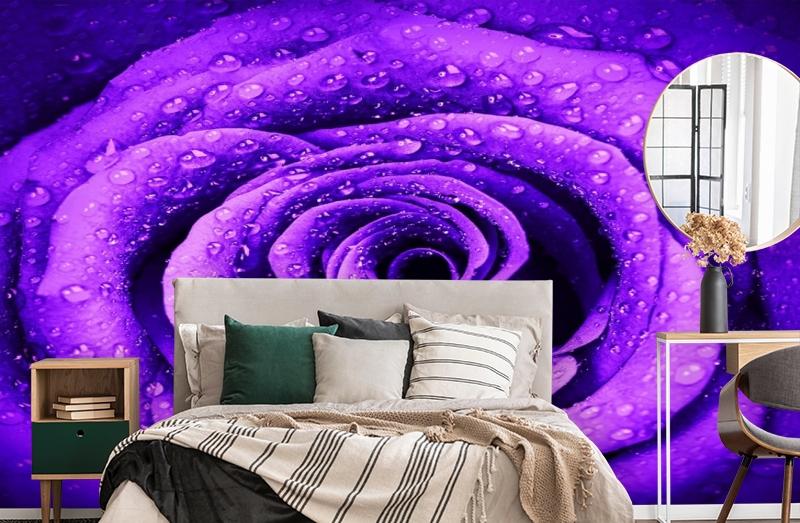 картинка 3D Фотообои «Фиолетовая роза с каплями» | интернет-магазин фотообоев ARTDECO