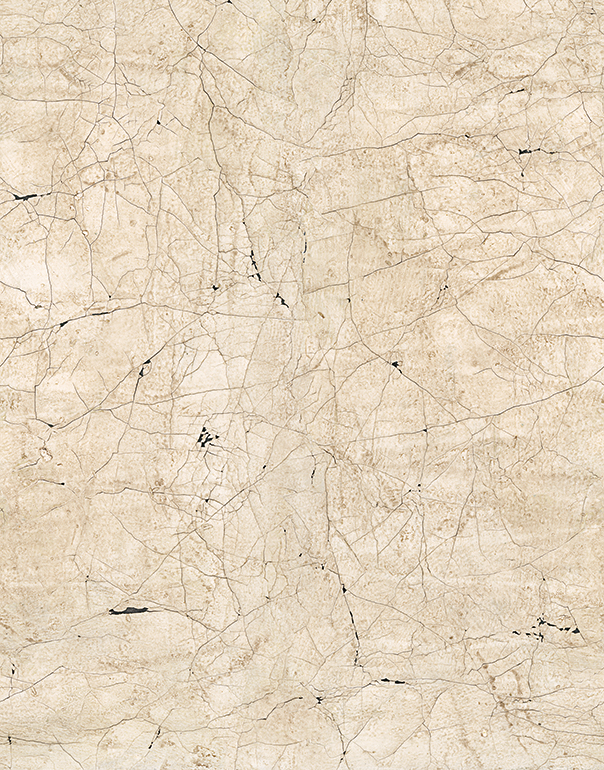 картинка 32756 Панно Marburg (New Spirit) (1*6) 2,70 x 2,12 винил на флизелине | интернет-магазин фотообоев ELEGANT HOME DECOR